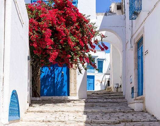 GNV DAYS: Tunisia between hugs, sunshine and discounts of up to 40%